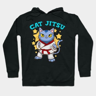 MMA Karate Cat Kitten Martial Arts Jujutsu Hoodie